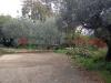 Casa indipendente in vendita con giardino a Veroli - 05, WhatsApp Image 2024-11-14 at 11.18.04 (2).jpeg
