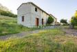 Casa indipendente in vendita con giardino a Buti - 02