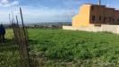 Terreno in vendita con giardino a Dolianova in via marrupiu - 02, Area edificabile zona S. Maria Dolianova, Sardegna