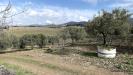 Terreno in vendita a Soleminis in sa misa - 04, Vigneto e Oliveto Sa Misa in vendita a Soleminis,