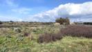 Terreno in vendita a Dolianova in pressi cantina sociale - 03, Terreno agricolo in vendita a Dolianova, Sardegna,