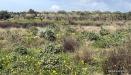 Terreno in vendita a Dolianova in pressi cantina sociale - 05, Terreno agricolo in vendita a Dolianova, Sardegna,
