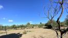Terreno in vendita a Dolianova in sa tiria - strada comunale montana - 05, Terreno Sa Tiria in vendita a Dolianova, Sardegna,