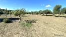 Terreno in vendita a Dolianova in sa tiria - strada comunale montana - 08, Terreno Sa Tiria in vendita a Dolianova, Sardegna,