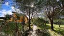 Villa in vendita con giardino a Arbus in localit� campu prama scivu - 07, Villa Fantasy in vendita a Scivu - Arbus, Sardegna