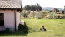 Casa indipendente in vendita con giardino a Donori in donori campagna - 08, Tenuta Arrideli in vendita campagna Donori, Sardeg