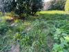 Villa in vendita con giardino a Ortonovo - isola - 02