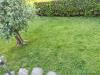 Villa in vendita con giardino a Carrara - avenza - 05