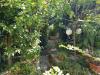 Villa in vendita con giardino a Carrara - fossola - 05