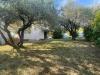 Villa in vendita con giardino a Carrara - bonascola - 04