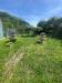 Casa indipendente in vendita con giardino a Ortonovo - casano - 03