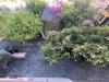 Casa indipendente in vendita con giardino a Carrara - marina di - 02