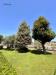 Villa in vendita con giardino a Cerveteri in via casetta mattei - 04, Foto 4