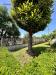 Villa in vendita con giardino a Cerveteri in via casetta mattei - 05, Foto 5