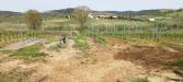 Terreno Agricolo in vendita a Magliano in Toscana - 05