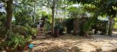 Casa indipendente in vendita con giardino a Orbetello - fonteblanda - 04