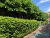 Appartamento in vendita con giardino a Milano in via villapizzone 26 - 02, Foto 2