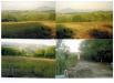 Terreno Agricolo in vendita a Carinola in via nazionale - 03, Foto 4