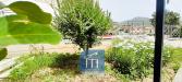 Villa in vendita con giardino a Sant'Elia Fiumerapido in via cese - 03, Foto 3