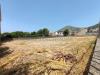 Terreno Agricolo in vendita a Caserta in via terra grande - 08, Foto 8