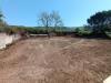 Terreno Agricolo in vendita a Caserta in via niccolini - 03, Foto 3