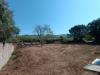 Terreno Agricolo in vendita a Caserta in via niccolini - 04, Foto 4