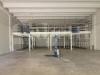 Magazzino in affitto a San Benedetto del Tronto - 02, WhatsApp Image 2025-09-22 at 09.44.07.jpeg
