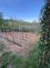 Villa in vendita con giardino a Serravalle Pistoiese - 10, 5acf9765-8f0d-470a-9e89-1610ddeebcc8.jpg