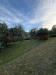 Villa in vendita con giardino a Serravalle Pistoiese - 06, 1d9cb1f2-1361-4a7f-bfcc-96cf8c62f974.jpg