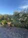 Villa in vendita con giardino a Serravalle Pistoiese - 08, 502b20c0-60eb-4edf-be47-0a2fcee5d372.jpg