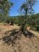Terreno Agricolo in vendita a Pistoia - 02, 3b64c95a-9d6b-4213-b2e2-05bc49dc3d16.jpg