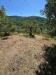 Terreno Agricolo in vendita a Pistoia - 03, 5ca5eb4c-9e70-48ba-a296-c1ad5a9a4cb2.jpg