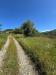 Terreno Agricolo in vendita a Pistoia - 08, 8fcd2963-f9a0-450f-b98e-dcd49841ae63.jpg