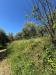 Terreno Agricolo in vendita a Pistoia - 02, 9e115ad1-5ba2-4fa4-b051-3124a968a8da.jpg