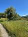 Terreno Agricolo in vendita a Pistoia - 05, c4b1455f-bccd-4008-8a0c-f07e8aeab507.jpg
