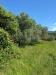 Terreno Agricolo in vendita a Pistoia - 06, aac92ab0-bfc2-418d-b0c9-61702bc2c266.jpg