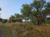 Terreno Agricolo in vendita a Pistoia - 10, c718443d-4be2-4004-b1ed-68fa35216459.jpg