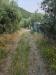 Terreno Agricolo in vendita a Pistoia - 04, 5cb76037-693c-48dc-bd55-57d93f4baedd.jpg