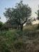 Terreno Agricolo in vendita a Pistoia - 08, bf91afd4-386e-4877-9feb-b262679539ac.jpg