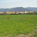 Terreno Agricolo in vendita a Montale - 02, WhatsApp Image 2026-03-06 at 12.45.44 (2).jpeg