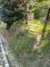 Terreno Agricolo in vendita a Pistoia - 02, WhatsApp Image 2026-05-25 at 18.09.40.jpeg