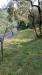 Terreno Agricolo in vendita a Pistoia - 03, WhatsApp Image 2026-05-25 at 18.09.49.jpeg