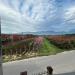 Casa indipendente in vendita con giardino a Agliana - 04, WhatsApp Image 2026-09-24 at 11.35.16 (3).jpeg