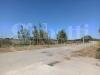 Terreno Edificabile in vendita a Oristano - 07, WhatsApp Image 2024-07-18 at 12.08.14.jpeg