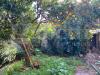 Casa indipendente in vendita a Oristano - 08, WhatsApp Image 2024-11-25 at 12.02.52 (1).jpeg