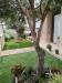 Villa in vendita classe A4 a Oristano - 03, 3ab3b7fe-0f8c-4f08-b08d-5b06bd216b4c.jpeg