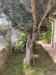 Villa in vendita con posto auto coperto a Santa Giusta - 04, WhatsApp Image 2025-03-20 at 16.07.36 (9).jpeg