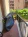 Appartamento in affitto arredato a Verona - 08, 8.jpg