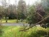 Villa in vendita con giardino a Camaiore - 10