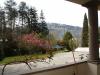 Villa in vendita con giardino a Camaiore - 09